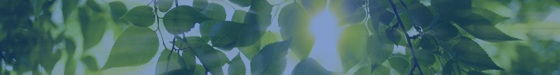 シキボウ株式会社のサステナビリティ