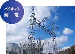 バイオマス発電