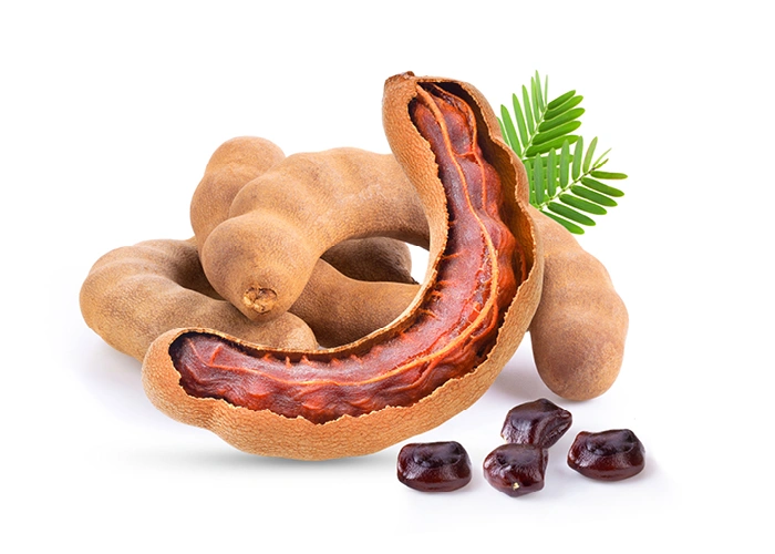 種子から得られる多糖類をもとに製品化